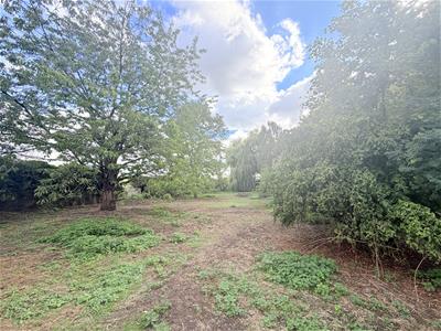 Picture 22